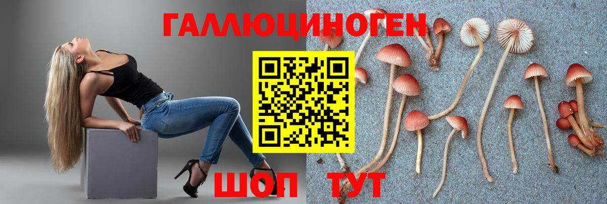 Галлюциногенные грибы мухоморы  Галлюциногенные грибы Psilocybe  Нефтеюганск  Вход с VPN 